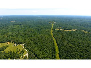 Property photo 17 - LAND AUCTION - 1,682+/- ACRES OFFERED IN 17 TRACTS IN LEWIS & GREENUP COUNTIES, KENTUCKY